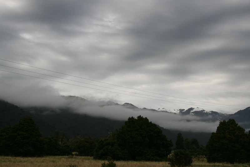 Nieuw-Zeeland 2011 - 1408